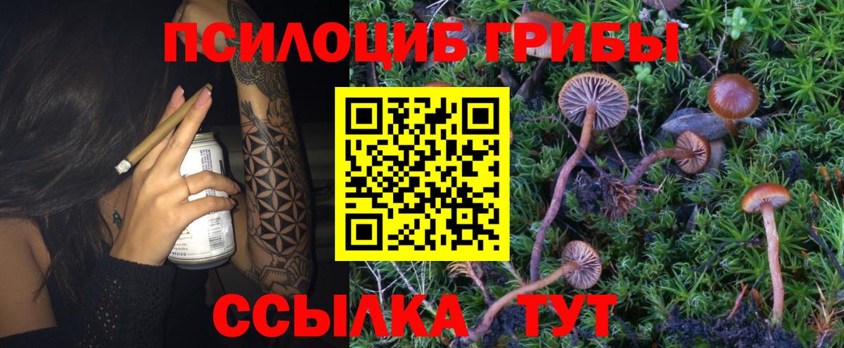Кировск  Псилоцибиновые грибы мицелий  Галлюциногенные грибы мухоморы  Вход с VPN 