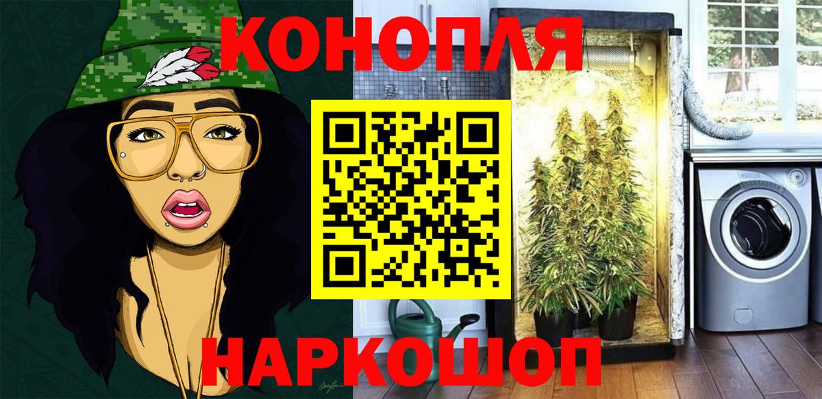 Бошки марихуана тримм  Каннабис ГИДРОПОН  Кировск  Вход с VPN  Бошки марихуана ГИДРОПОН 